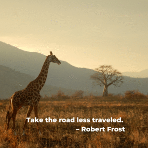 Safari (3)